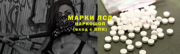 крисы Магас